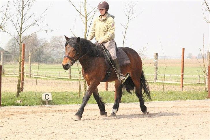 Kursus med BBH instruktør.  billede 18