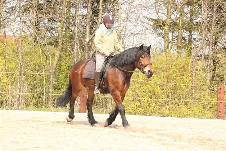 Kursus med BBH instruktør.  billede 19