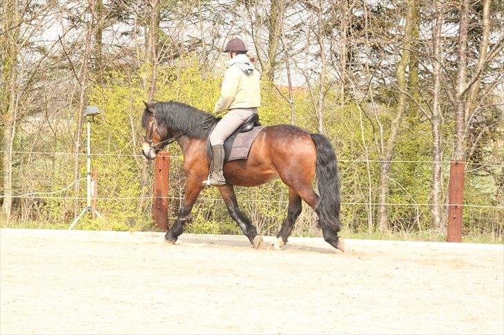 Kursus med BBH instruktør.  billede 20