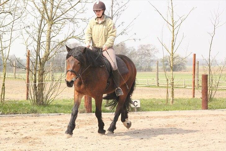 Kursus med BBH instruktør.  billede 21