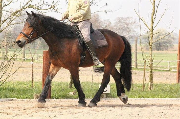 Kursus med BBH instruktør.  billede 22