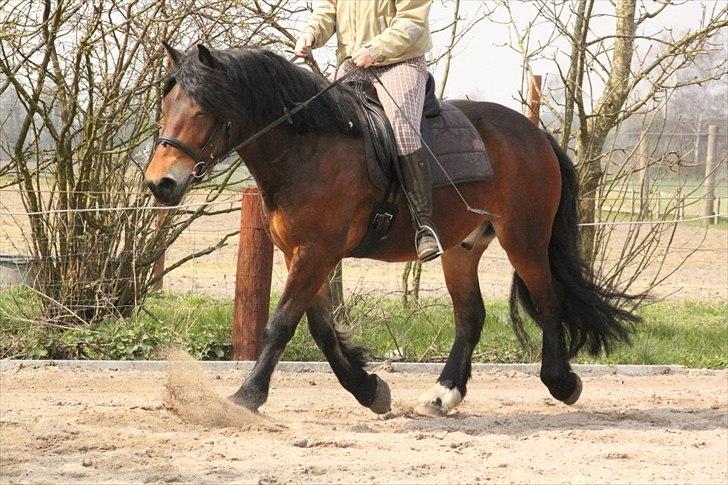 Kursus med BBH instruktør.  billede 23