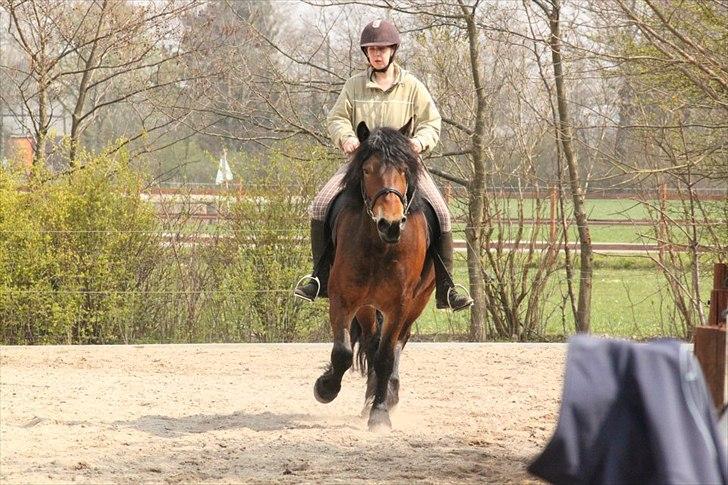 Kursus med BBH instruktør.  billede 24