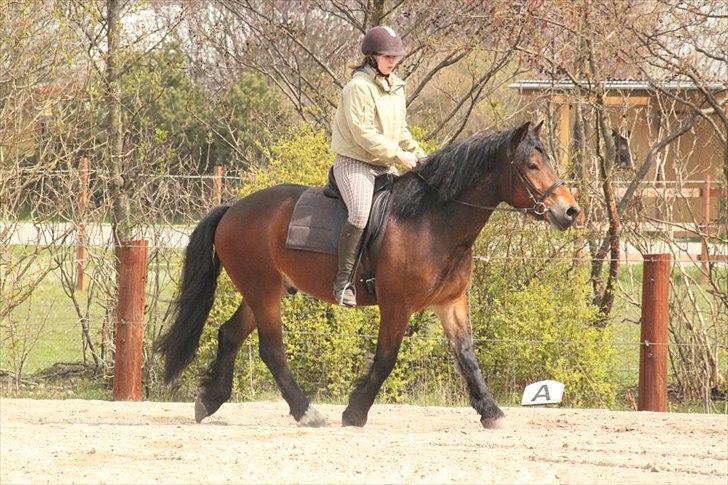 Kursus med BBH instruktør.  billede 25