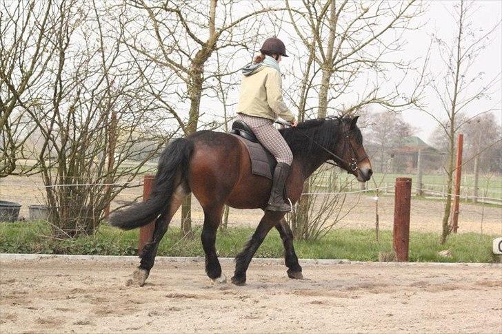 Kursus med BBH instruktør.  billede 26