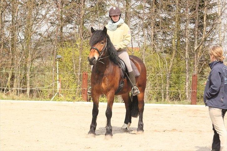 Kursus med BBH instruktør.  billede 27