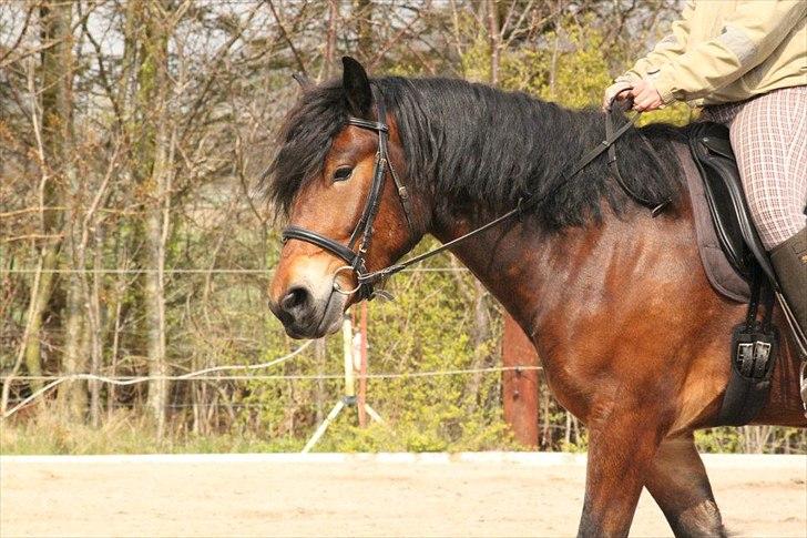 Kursus med BBH instruktør.  billede 28