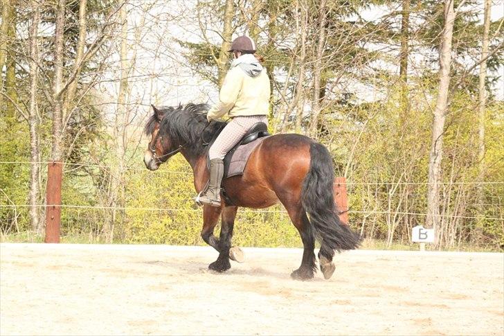 Kursus med BBH instruktør.  billede 29