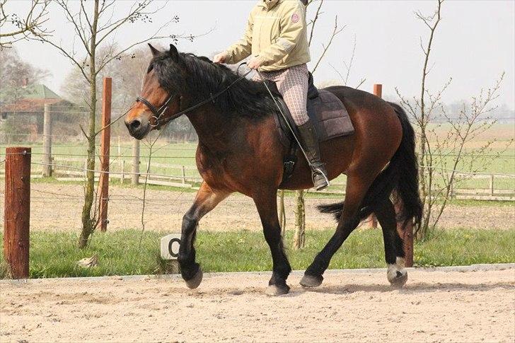 Kursus med BBH instruktør.  billede 30