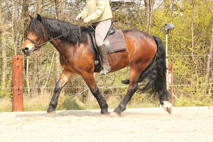 Kursus med BBH instruktør.  billede 31