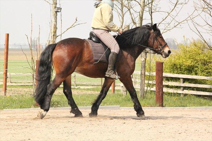 Kursus med BBH instruktør.  billede 32