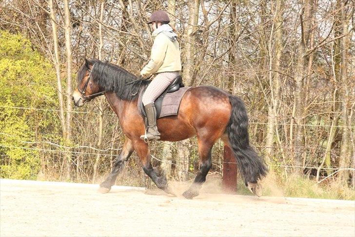 Kursus med BBH instruktør.  billede 33