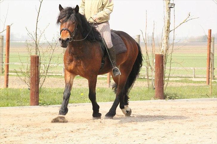 Kursus med BBH instruktør.  billede 34