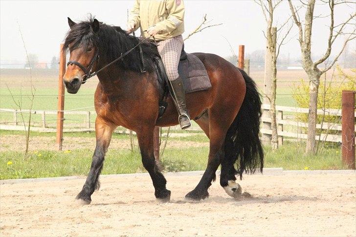 Kursus med BBH instruktør.  billede 35