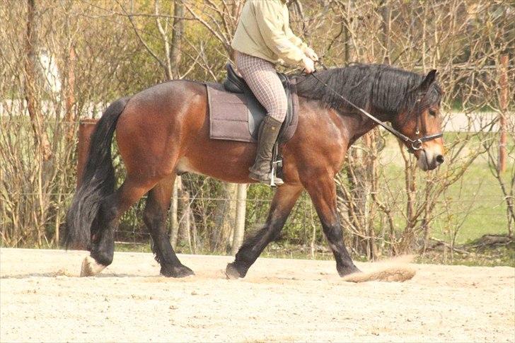 Kursus med BBH instruktør.  billede 37