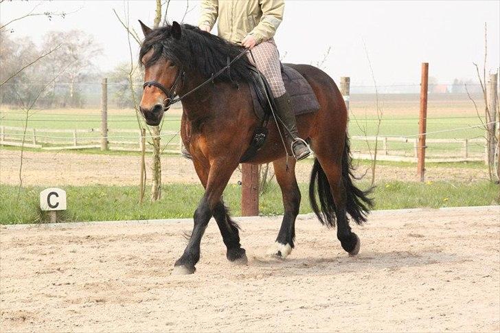 Kursus med BBH instruktør.  billede 38