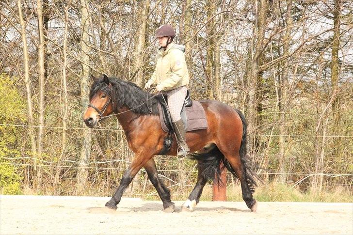 Kursus med BBH instruktør.  billede 39