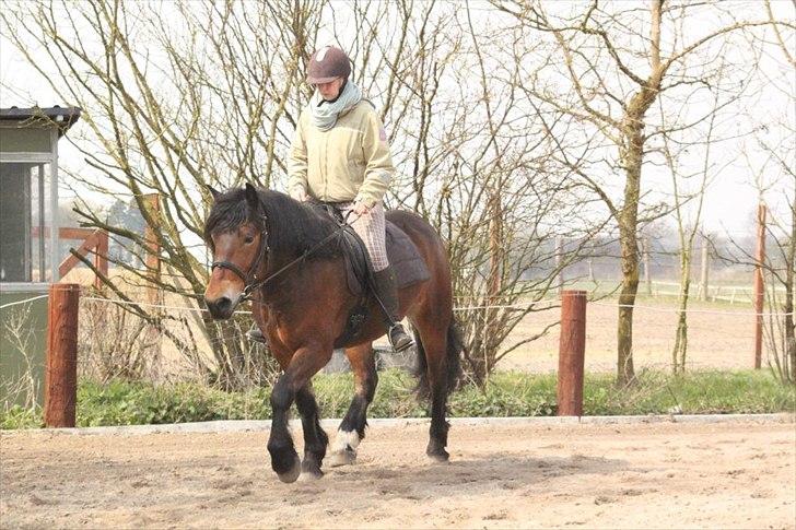 Kursus med BBH instruktør.  billede 40