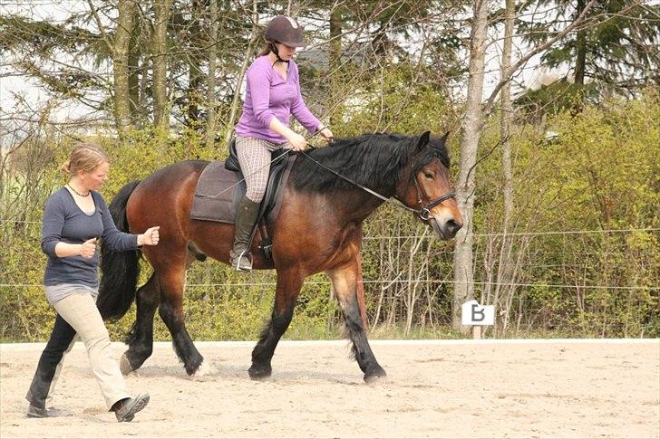 Kursus med BBH instruktør.  billede 41