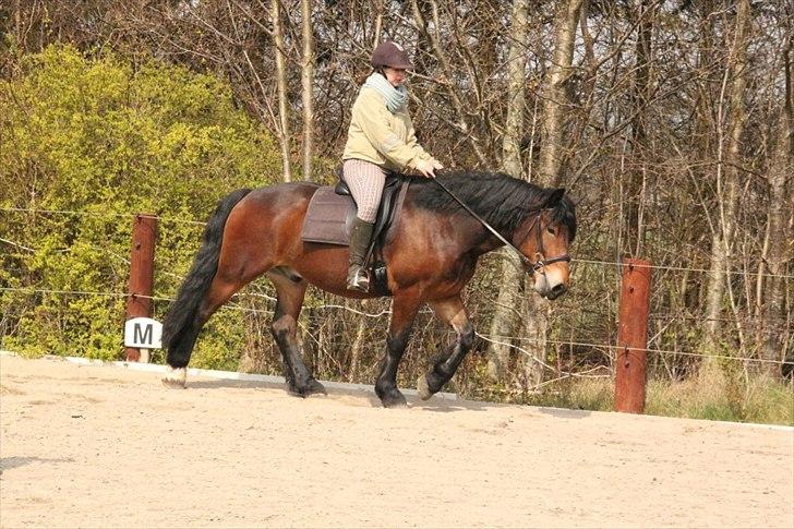 Kursus med BBH instruktør.  billede 42