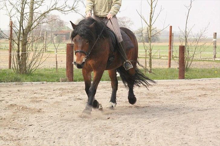 Kursus med BBH instruktør.  billede 44