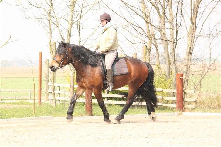 Kursus med BBH instruktør.  billede 45