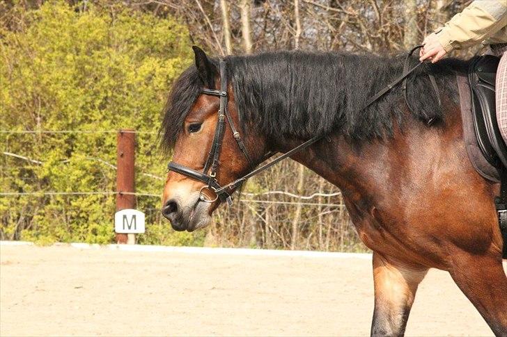 Kursus med BBH instruktør.  billede 46