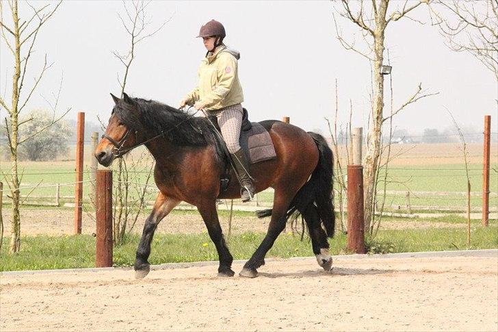 Kursus med BBH instruktør.  billede 47