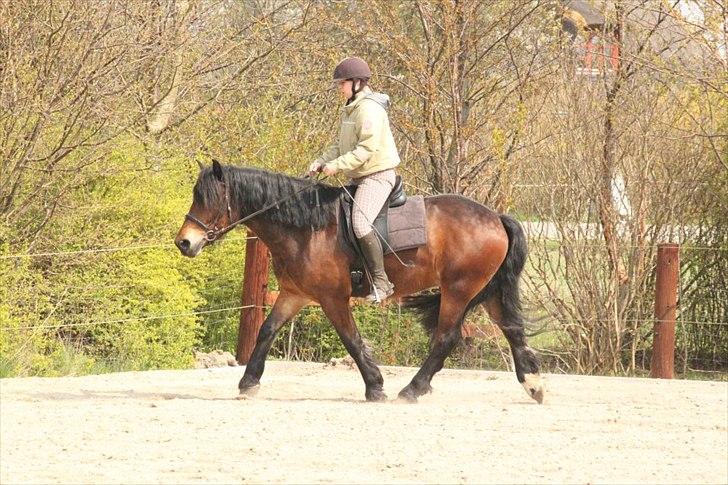 Kursus med BBH instruktør.  billede 48