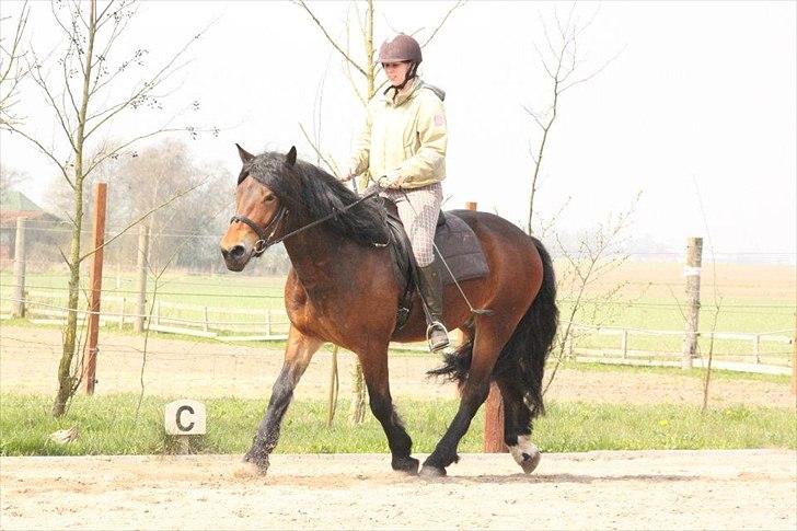 Kursus med BBH instruktør.  billede 49