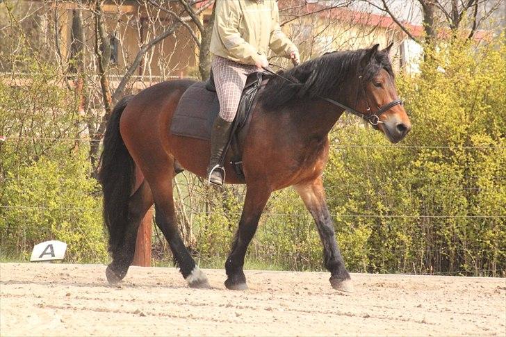 Kursus med BBH instruktør.  billede 51