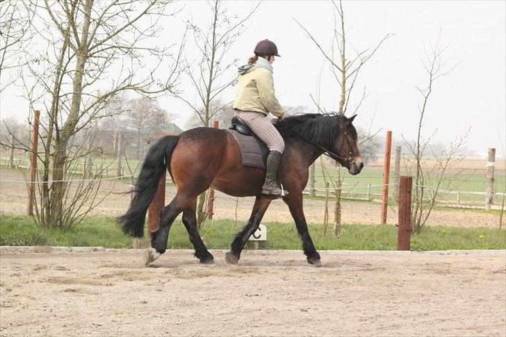 Kursus med BBH instruktør.  billede 52