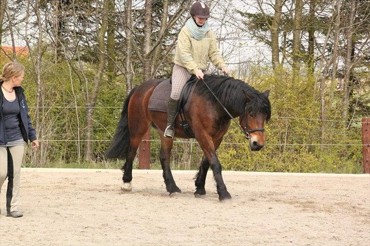 Kursus med BBH instruktør.  billede 53