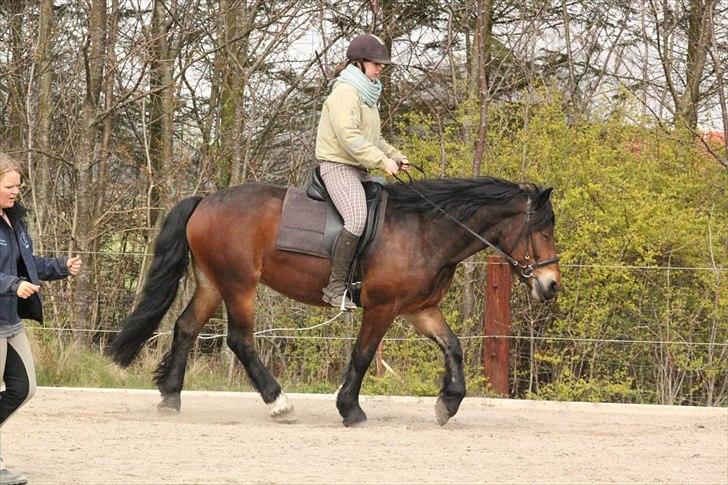 Kursus med BBH instruktør.  billede 55