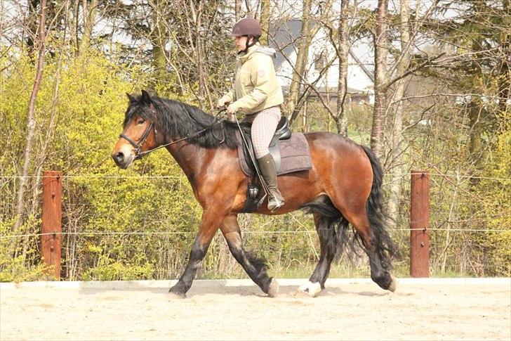 Kursus med BBH instruktør.  billede 57