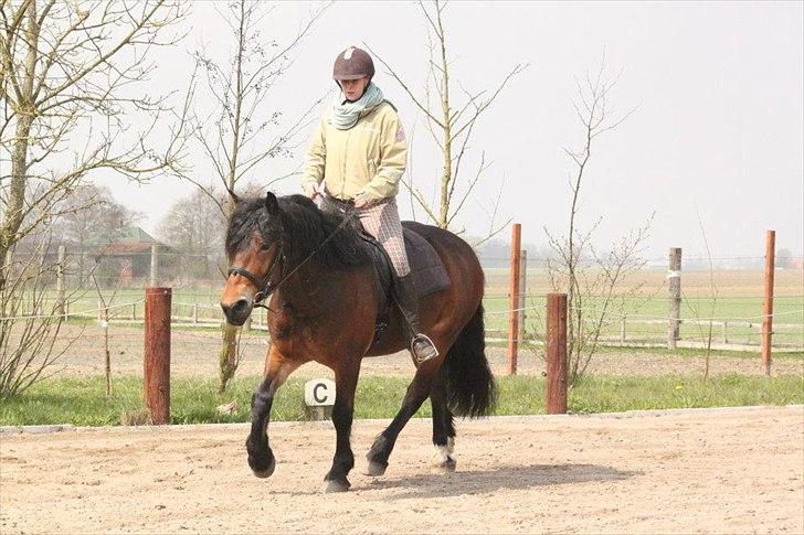 Kursus med BBH instruktør.  billede 58