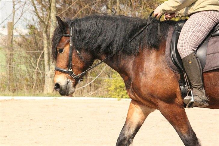 Kursus med BBH instruktør.  billede 59