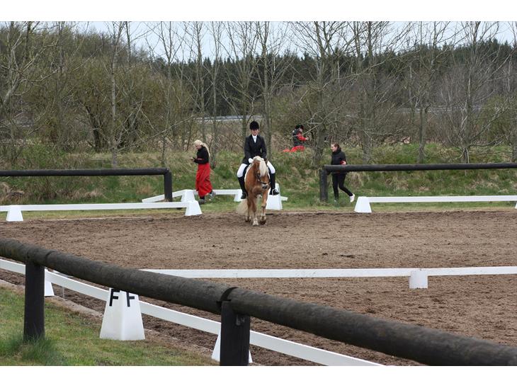 {{currentPhoto.altText}} billede {{currentPhoto.number}}