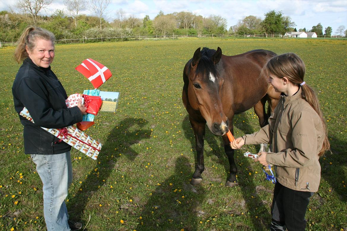 Kæmpe fødselsdag for hesten, med kage, flag, og masser af gaver! - Nå okay da, lad mig så lige få den gave :) billede 9