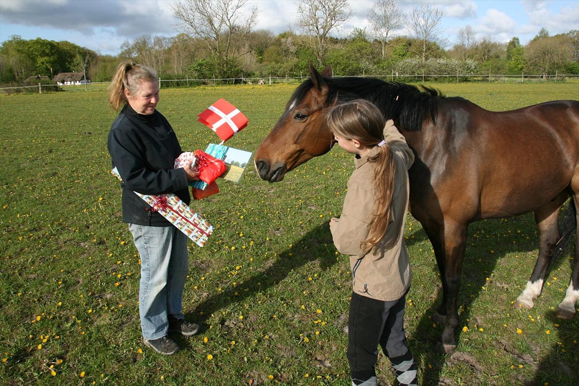 Kæmpe fødselsdag for hesten, med kage, flag, og masser af gaver! - Men så hurtigt videre til den RØDE! ;) ;) Skøre pony :) billede 10