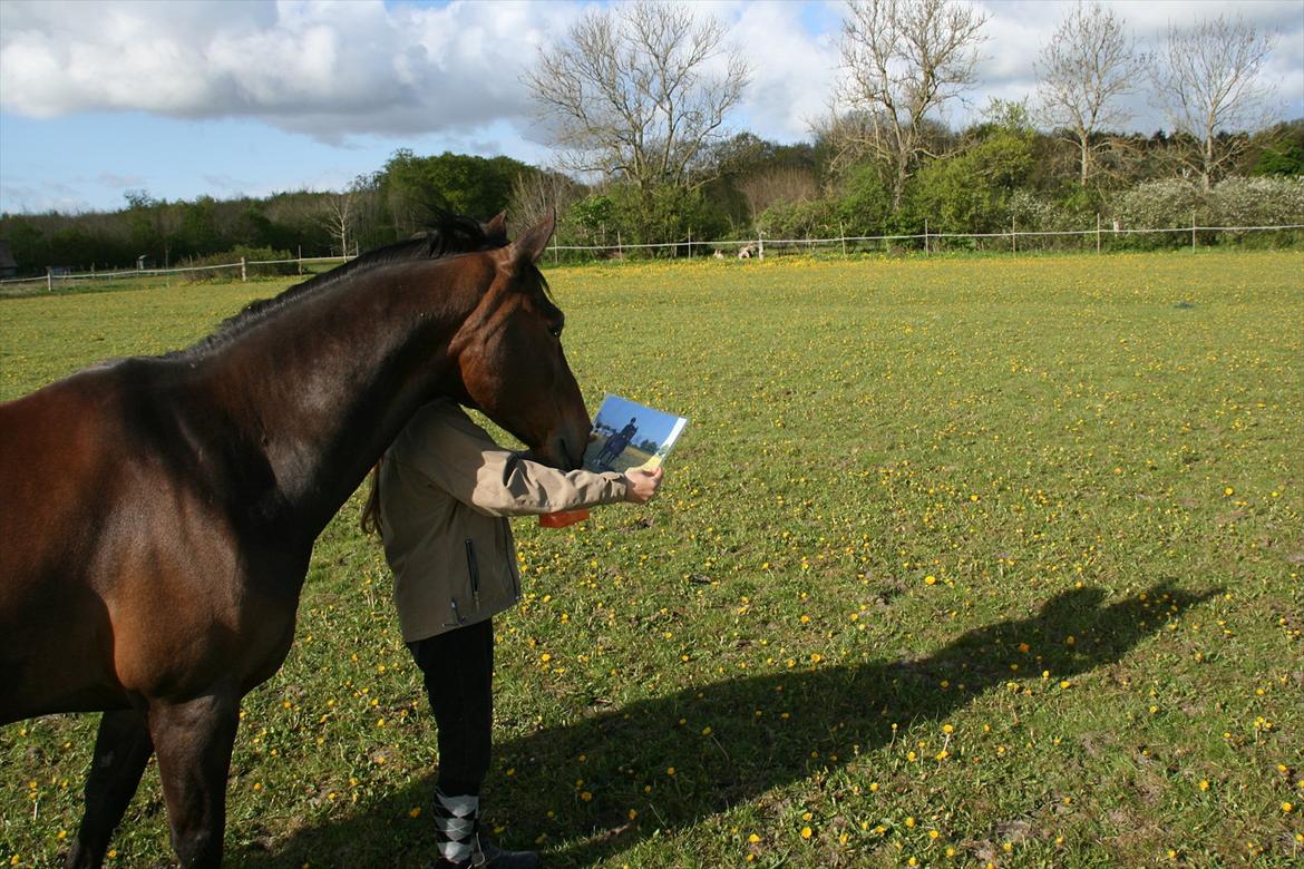 Kæmpe fødselsdag for hesten, med kage, flag, og masser af gaver! - Hov det er jo mig :D (Kig godt på han mule, han smiler...) billede 21