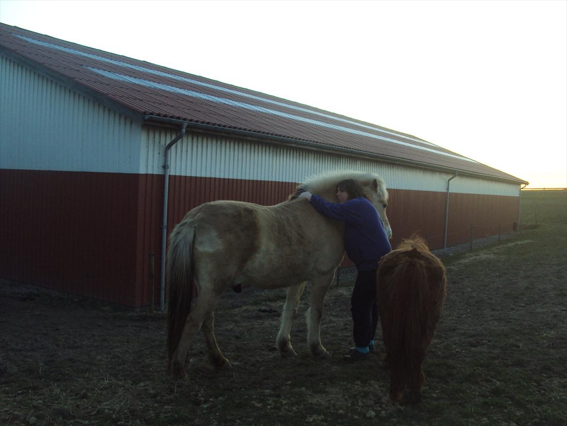 den sidste tid med riki OBS,der kan forkomme stærke billeder billede 5