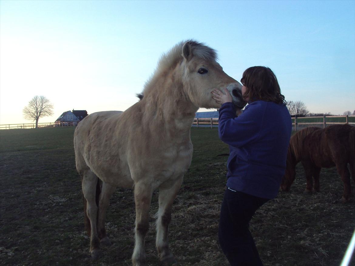 den sidste tid med riki OBS,der kan forkomme stærke billeder billede 6