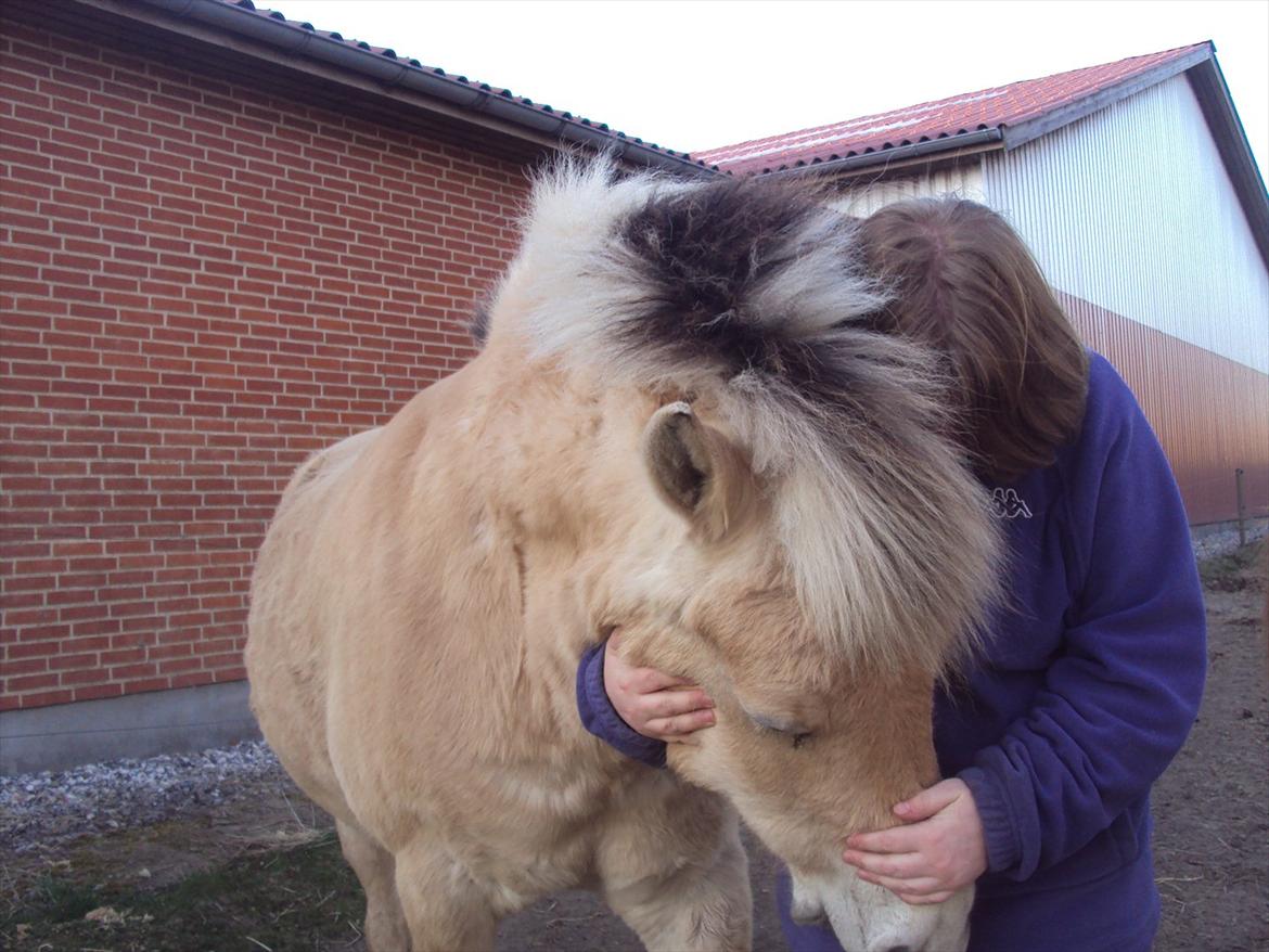den sidste tid med riki OBS,der kan forkomme stærke billeder billede 8
