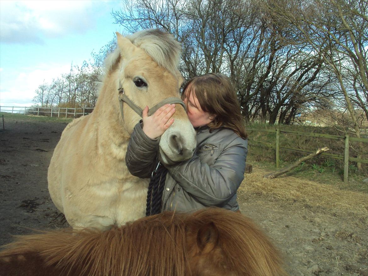 den sidste tid med riki OBS,der kan forkomme stærke billeder - dagen før billede 9