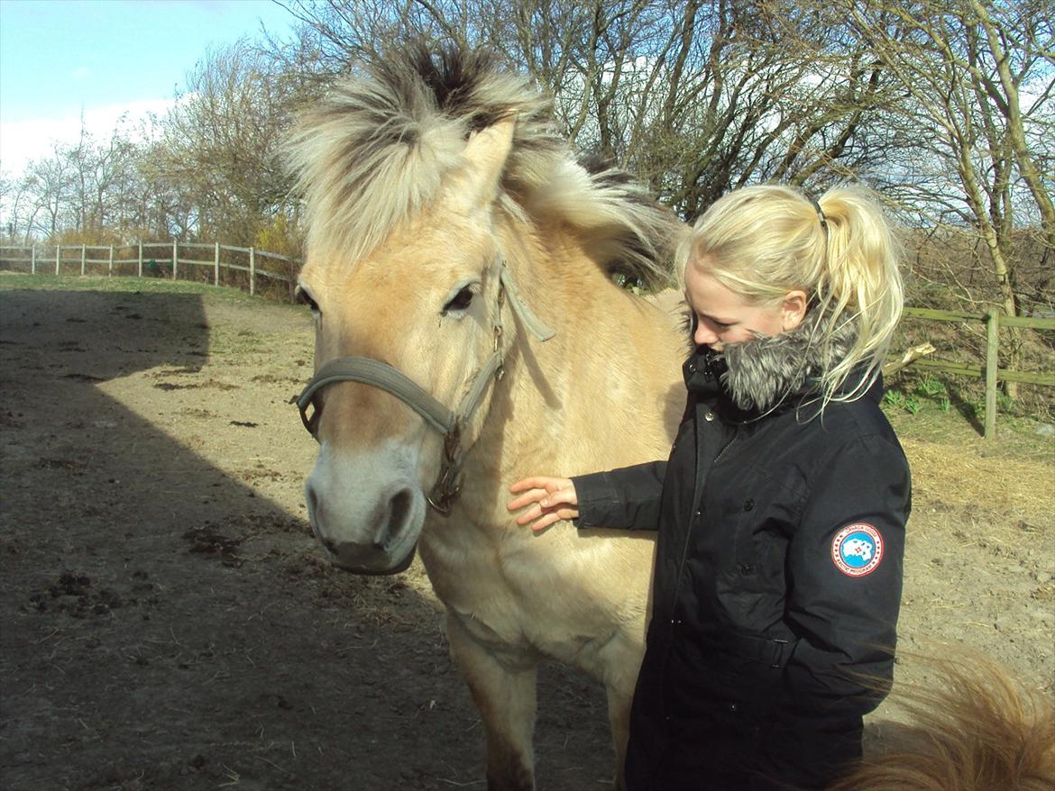 den sidste tid med riki OBS,der kan forkomme stærke billeder - 20 min før billede 10