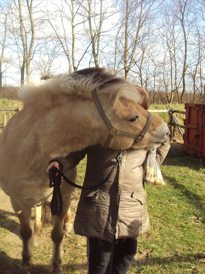 den sidste tid med riki OBS,der kan forkomme stærke billeder billede 11
