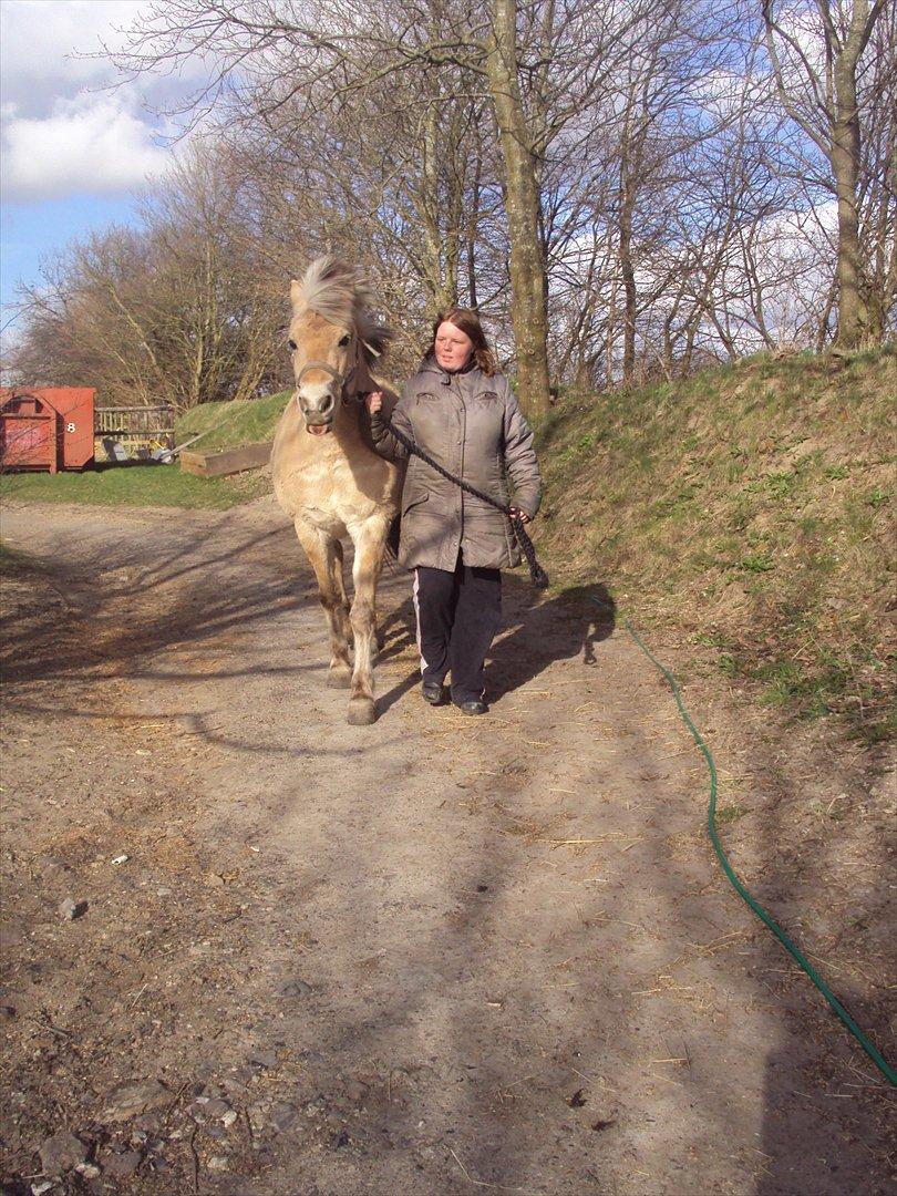 den sidste tid med riki OBS,der kan forkomme stærke billeder billede 12