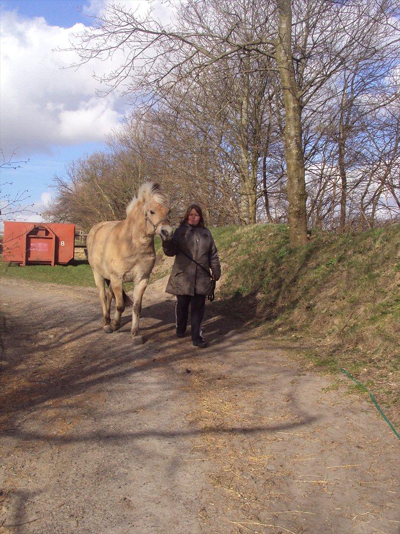 den sidste tid med riki OBS,der kan forkomme stærke billeder billede 13
