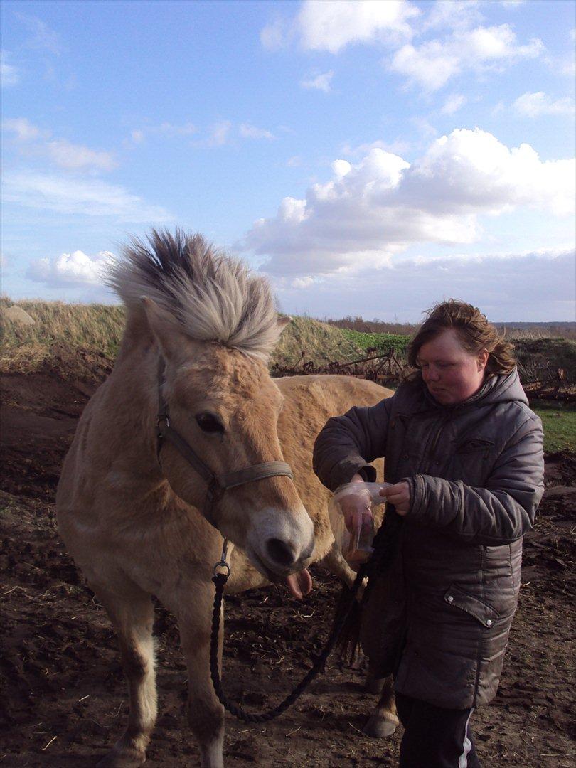 den sidste tid med riki OBS,der kan forkomme stærke billeder billede 17